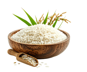 Grains and Pulses