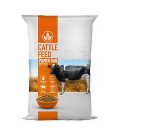 Livestock Feed